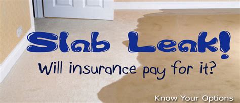 Slab Leak Detection and Repair Gainesville Florida